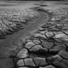 What is Topical Steroid Withdrawal?